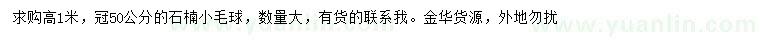 求購高1米石楠小毛球
