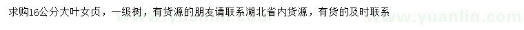 求購(gòu)16公分大葉女貞
