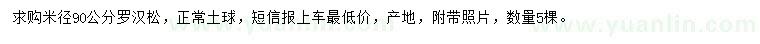 求購米徑90公分羅漢松