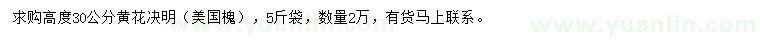 求購(gòu)高度30公分黃花決明
