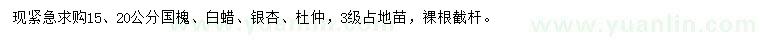 求購國槐、白蠟、銀杏等