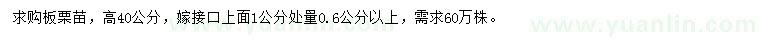 求購(gòu)高40公分板栗苗