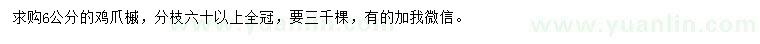 求購6公分雞爪槭