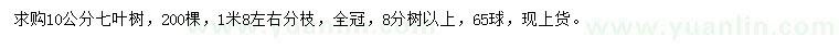 求購10公分七葉樹