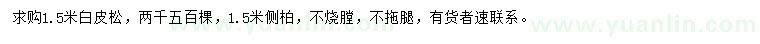 求購1.5米白皮松、側(cè)柏