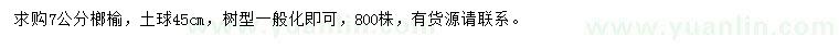 求購7公分榔榆