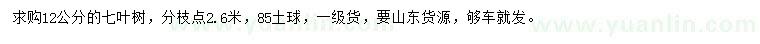 求購12公分七葉樹