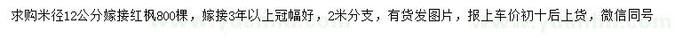 求購米徑12公分嫁接紅楓