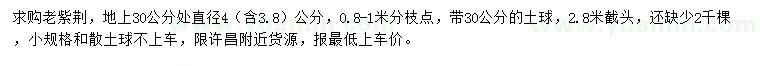求購地上30量直徑4公分老紫荊