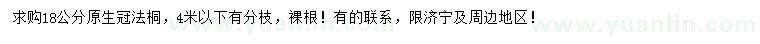 求購18公分法桐
