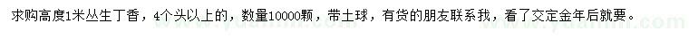 求購高度1米叢生丁香