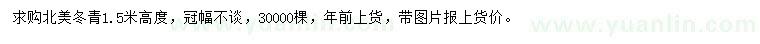 求購(gòu)高度1.5米北美冬青