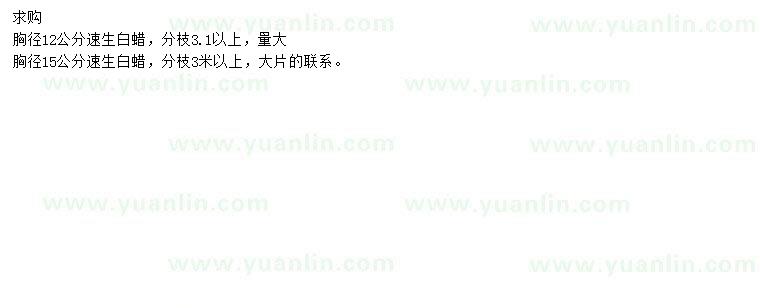 求購胸徑12、15公分速生白蠟