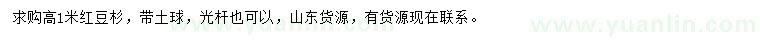 求購高1米紅豆杉