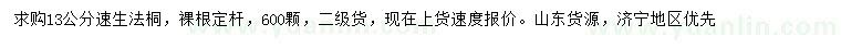 求購13公分速生法桐