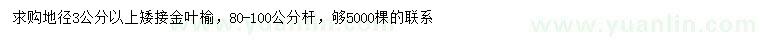 求購地徑3公分以上矮接金葉榆