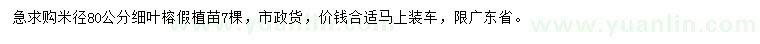 求購米徑80公分細(xì)葉榕