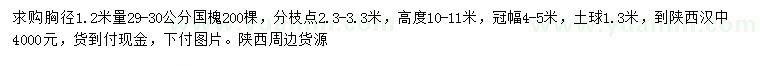 求購(gòu)1.2米量29-30公分國(guó)槐