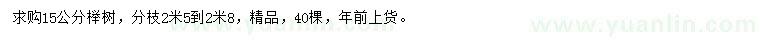 求購15公分櫸樹