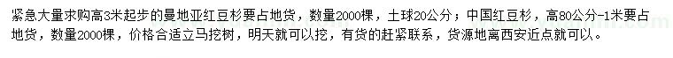 求購(gòu)高3米曼地亞紅豆杉、高0.8-1米中國(guó)紅豆杉