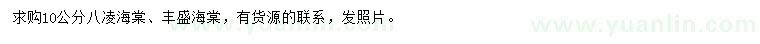 求購(gòu)10公分八凌海棠、豐盛海棠