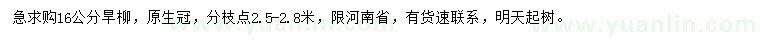 求購16公分旱柳
