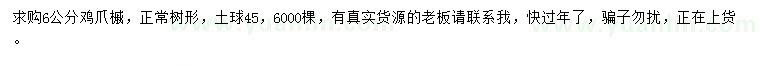 求購6公分雞爪槭