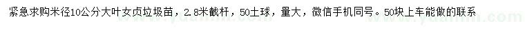 求購米徑10公分大葉女貞