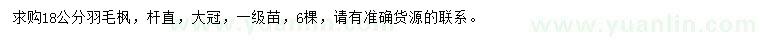 求購18公分羽毛楓