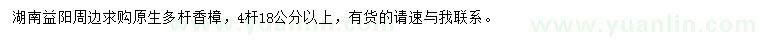 求購原生多桿香樟