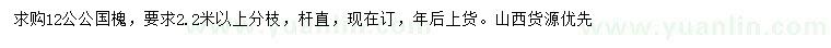 求購12公分國槐