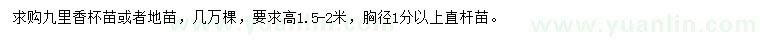 求購高1.5-2米九里香