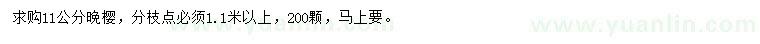 求購11公分晚櫻