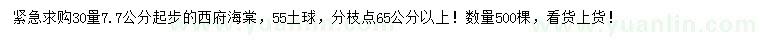 求購30量7.7公分西府海棠