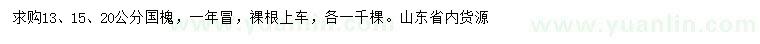 求購13、15、20公分國槐