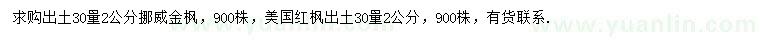 求購出土30量2公分挪威金楓、美國紅楓