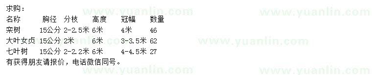 求購欒樹、大葉女貞、七葉樹