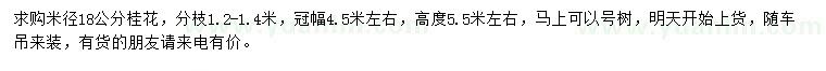 求購米徑18公分桂花