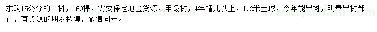 求購15公分欒樹