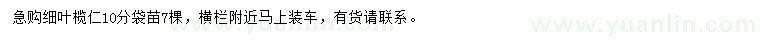 求購(gòu)10公分細(xì)葉欖仁