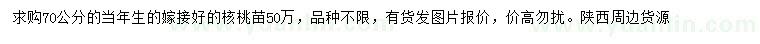 求購70公分核桃苗