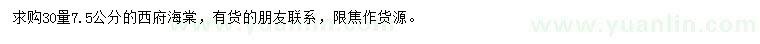 求購(gòu)30量7.5公分西府海棠