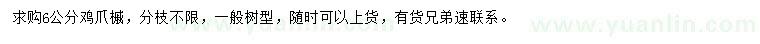 求購6公分雞爪槭