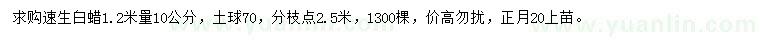 求購1.2米量10公分速生白蠟