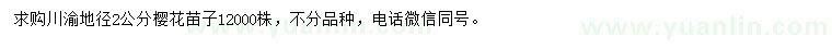 求購地徑2公分櫻花苗子