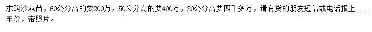 求購高30、50、60公分沙棘苗