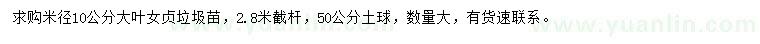 求購米徑10公分大葉女貞