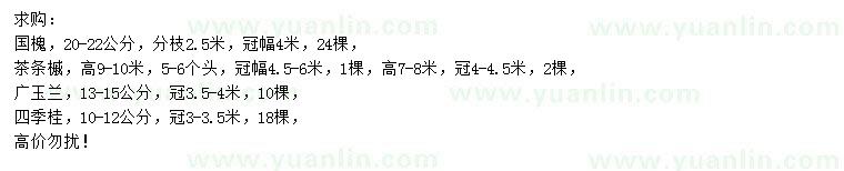 求購國槐、茶條槭、廣玉蘭等