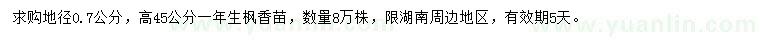求購地徑0.7公分一年生楓香苗