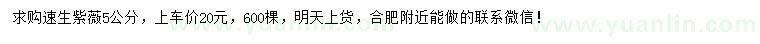 求購5公分速生紫薇
